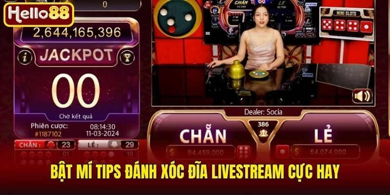 Bật mí tips đánh xóc đĩa livestream cực hay