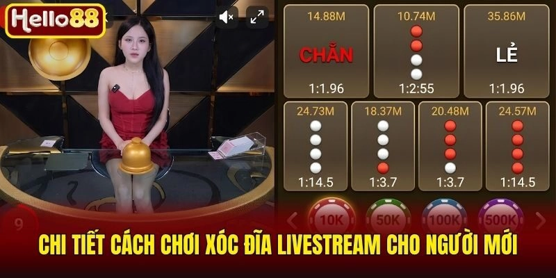Chi tiết cách chơi xóc đĩa livestream cho người mới