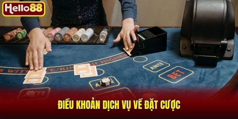 Điều khoản dịch vụ về đặt cược