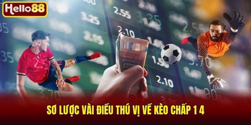 Sơ lược vài điều thú vị về kèo chấp 1 4